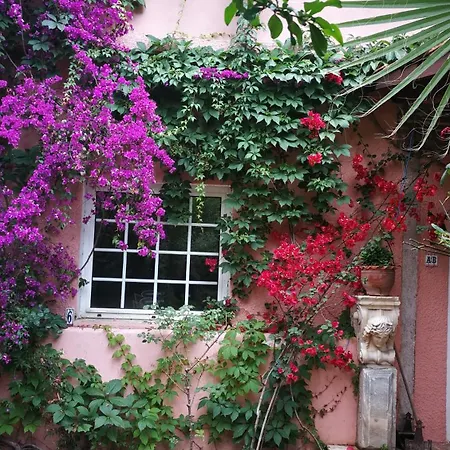 With A Big Garden * Athens
