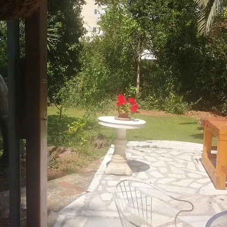 With A Big Garden Villa