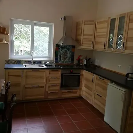 With A Big Garden Villa