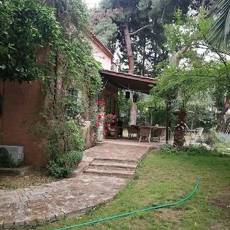 With A Big Garden