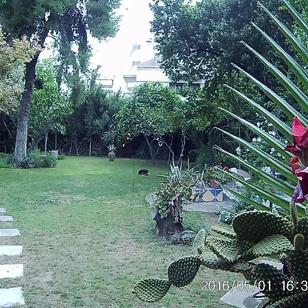 With A Big Garden Athens
