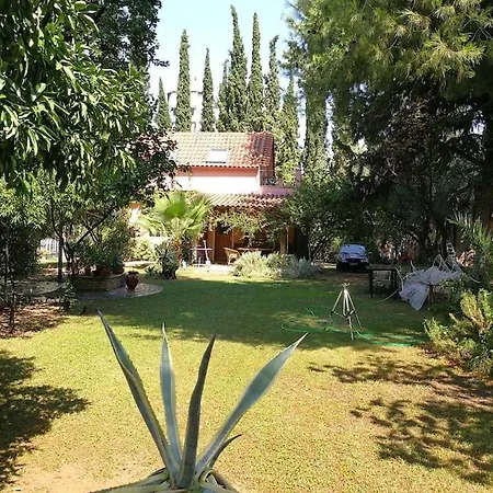 With A Big Garden