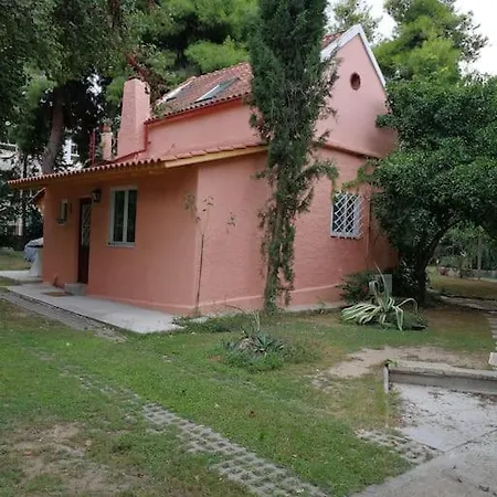With A Big Garden