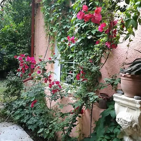 With A Big Garden * Athens