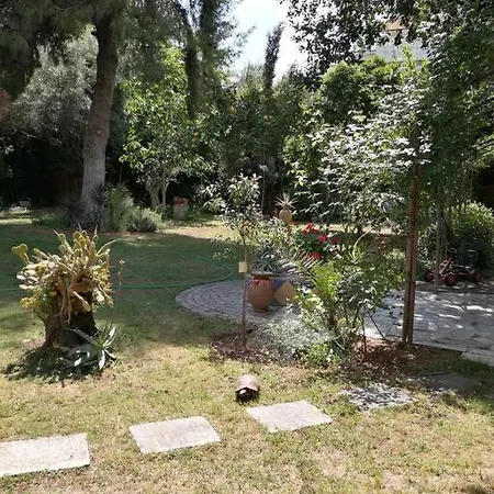 Villa With A Big Garden Athens