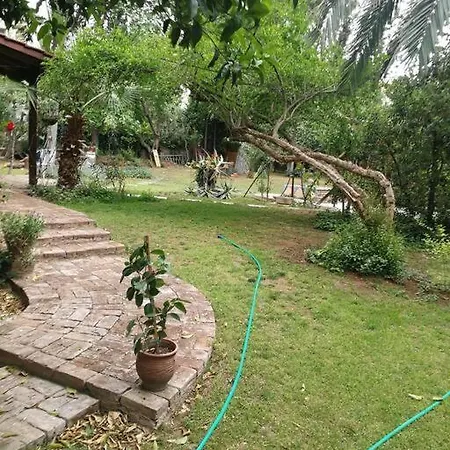 With A Big Garden Villa