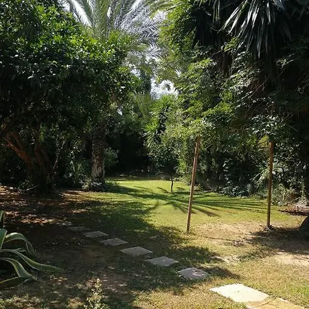 With A Big Garden *
