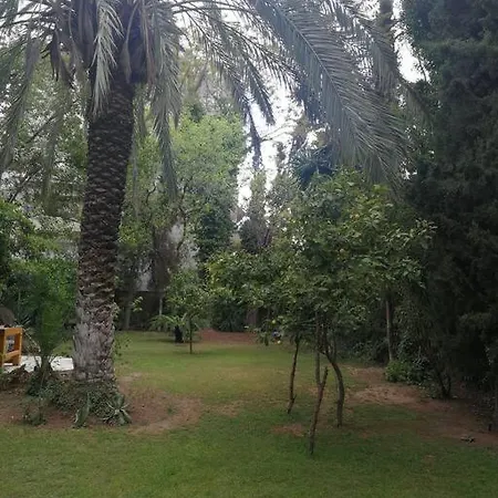 With A Big Garden Villa Athens