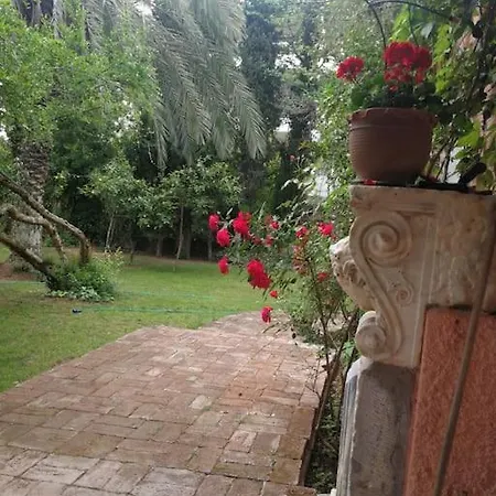 With A Big Garden Athens