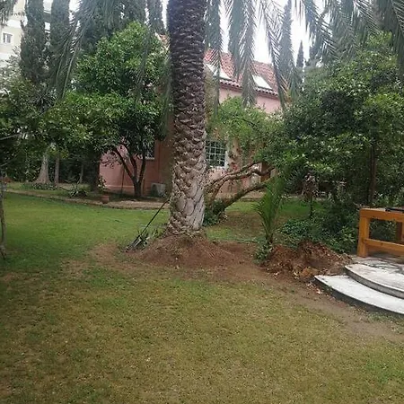 With A Big Garden